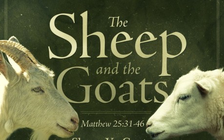 The sheep and the goats